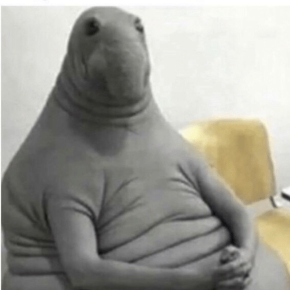 Meet your Posher, Rhys - Picture 1 of 1